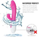 Dual Pleasure Rabbit Vibrator and Clitoral Stimulator