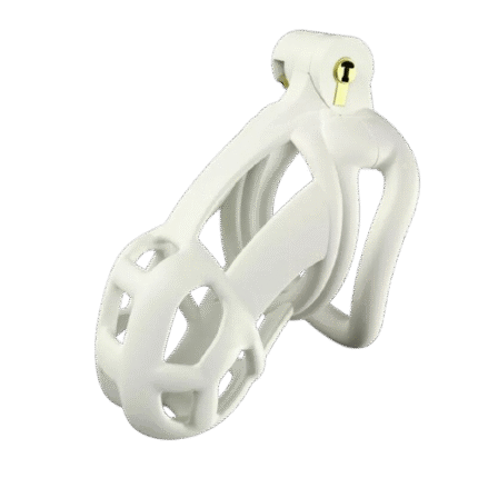 Medium Size Chastity Cage